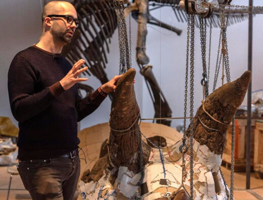 Art Zoo Museum