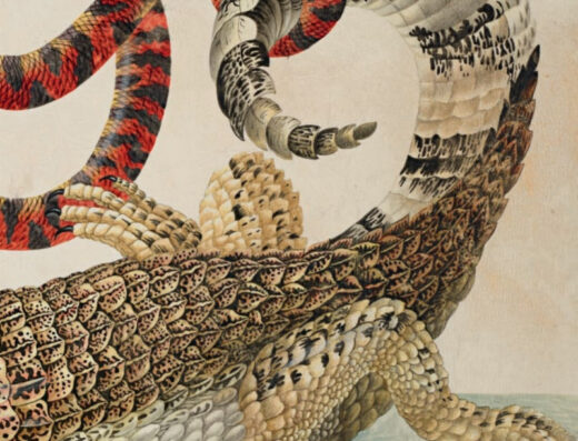 Art Zoo Museum