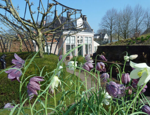 Museum De Buitenplaats Eelde