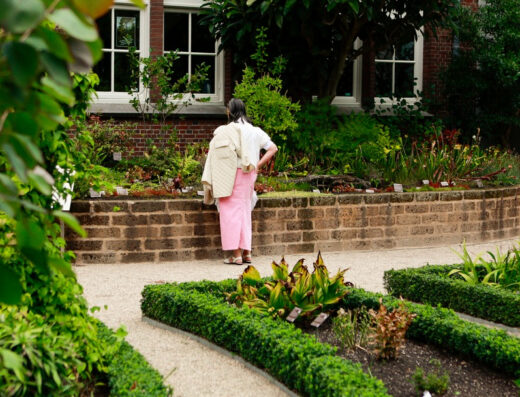 Hortus Botanicus