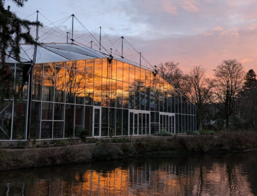 Hortus Botanicus