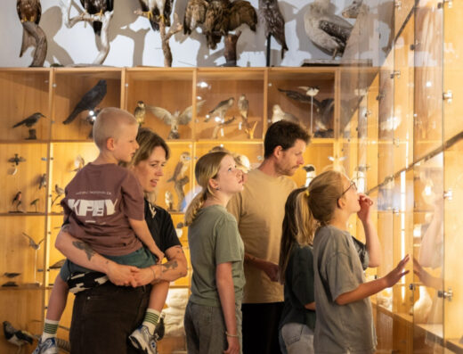 Natural History Museum Rotterdam
