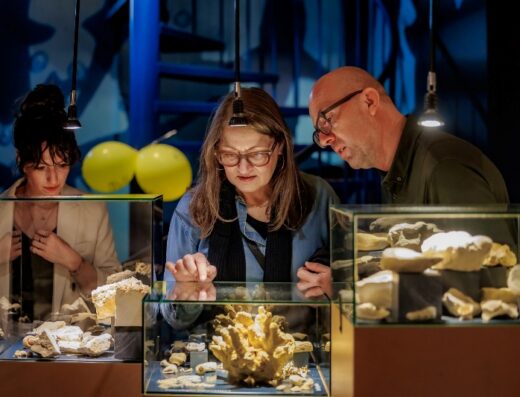 Natural History Museum Maastricht