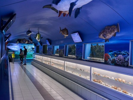 Sea Aquarium Bergen Aan Zee